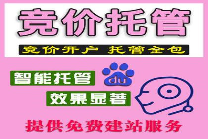 SEM竞价策略在移动端的成功应用案例